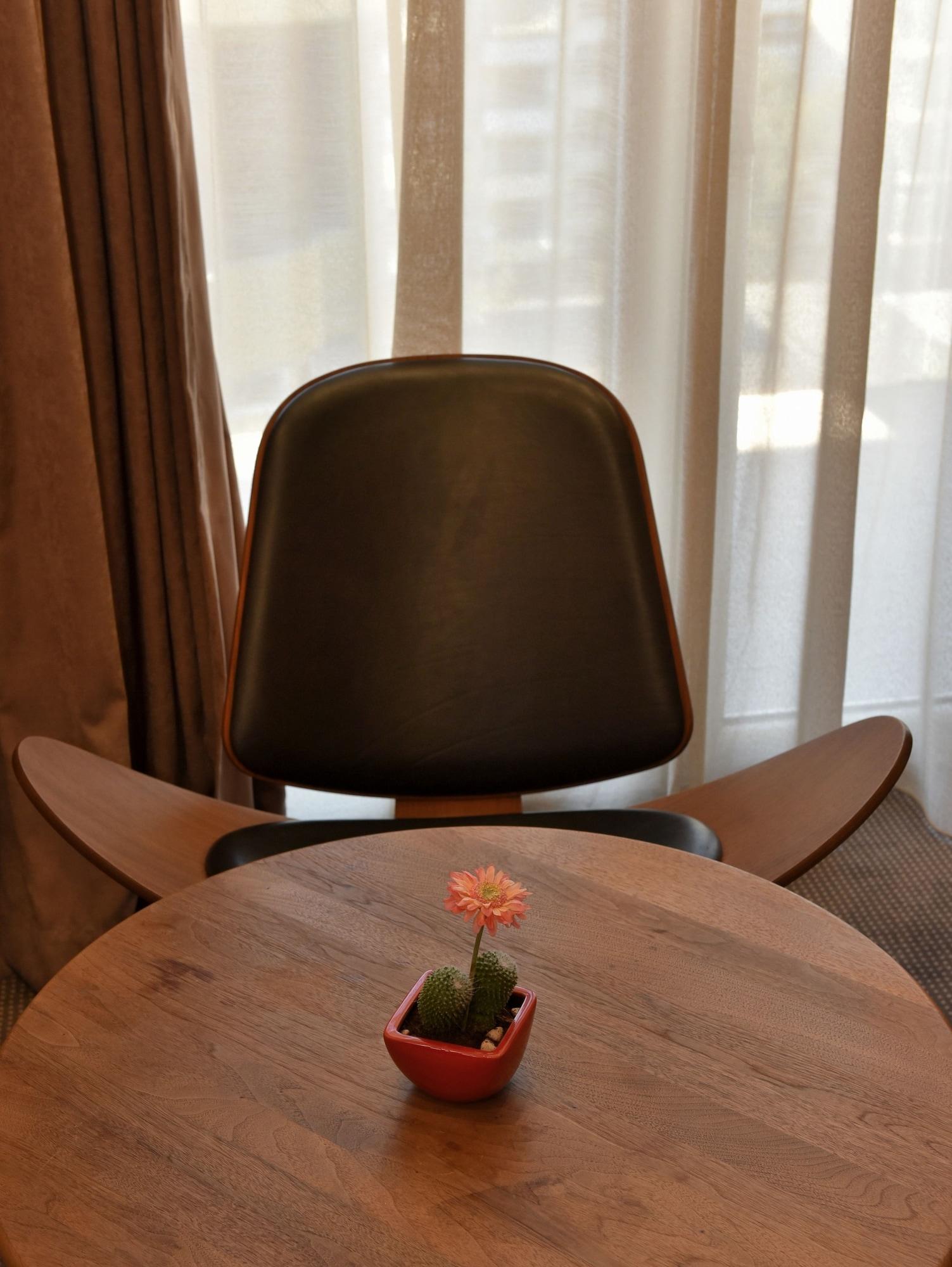 La Bohème 4* Tirana